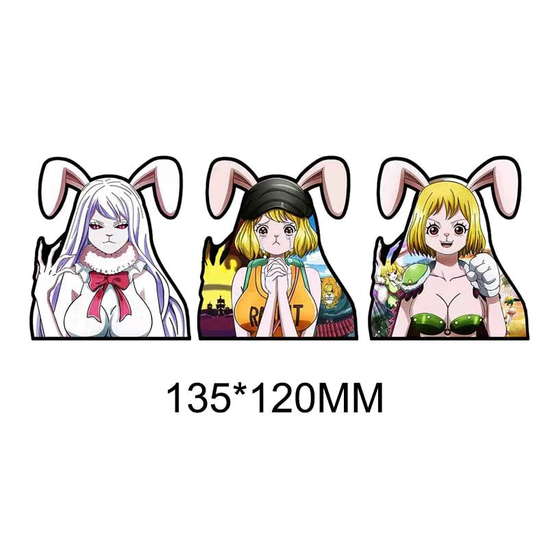 Nico Robin 3D Motion sticker, 3 varieties Of morphologic